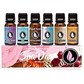 Eternal Essence Oils Spa Day Set of 6 Premium Fragrance Oils - Includes Lavender Breeze, Sweet Rain, Coconut Sandalwood, Black Fig & Honey, Patchouli Saffron, and Spa Scented Oils - 10ML
