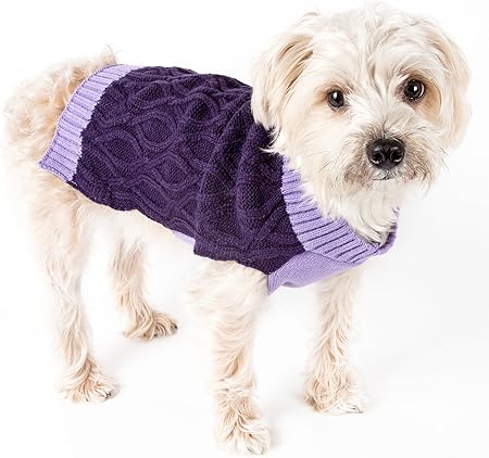 purple dog sweater