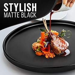 Stoneware Dinner Plates Set of 4, Stylish Matte