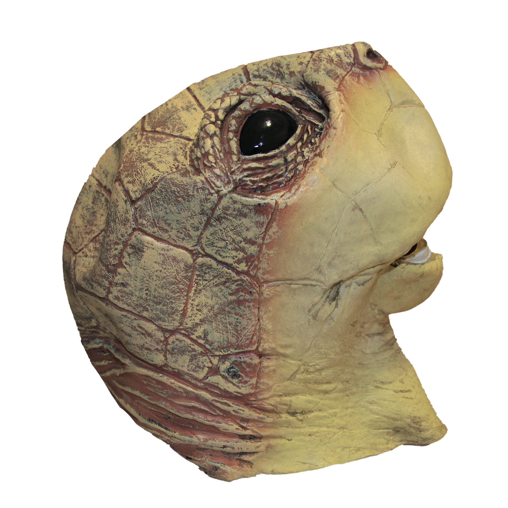 Brown Turtle Overhead Rubber Mask, 1 Pc. - Comfortable & Realistic Design, Perfect Accesory for Cosplay, Halloween, World Book Day, & Themed Parties Halloween Halloween