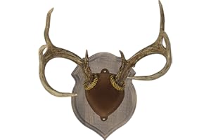 Walnut Hollow Country Deluxe Antler Mount Kit, Solid Pine Rustic Barn Board Finish