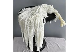 Dried Amaranthus Hanging Flowers 23" Long — 5 PCS White Natural Wisteria Amaranth for Wedding Arch Decor, Wall Backdrop, Tabl