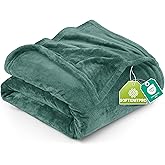 Utopia Bedding Fleece Blanket Queen Size Celadon 300GSM Luxury Fuzzy Soft Anti-Static Microfiber Bed Blanket (90x90 Inch)