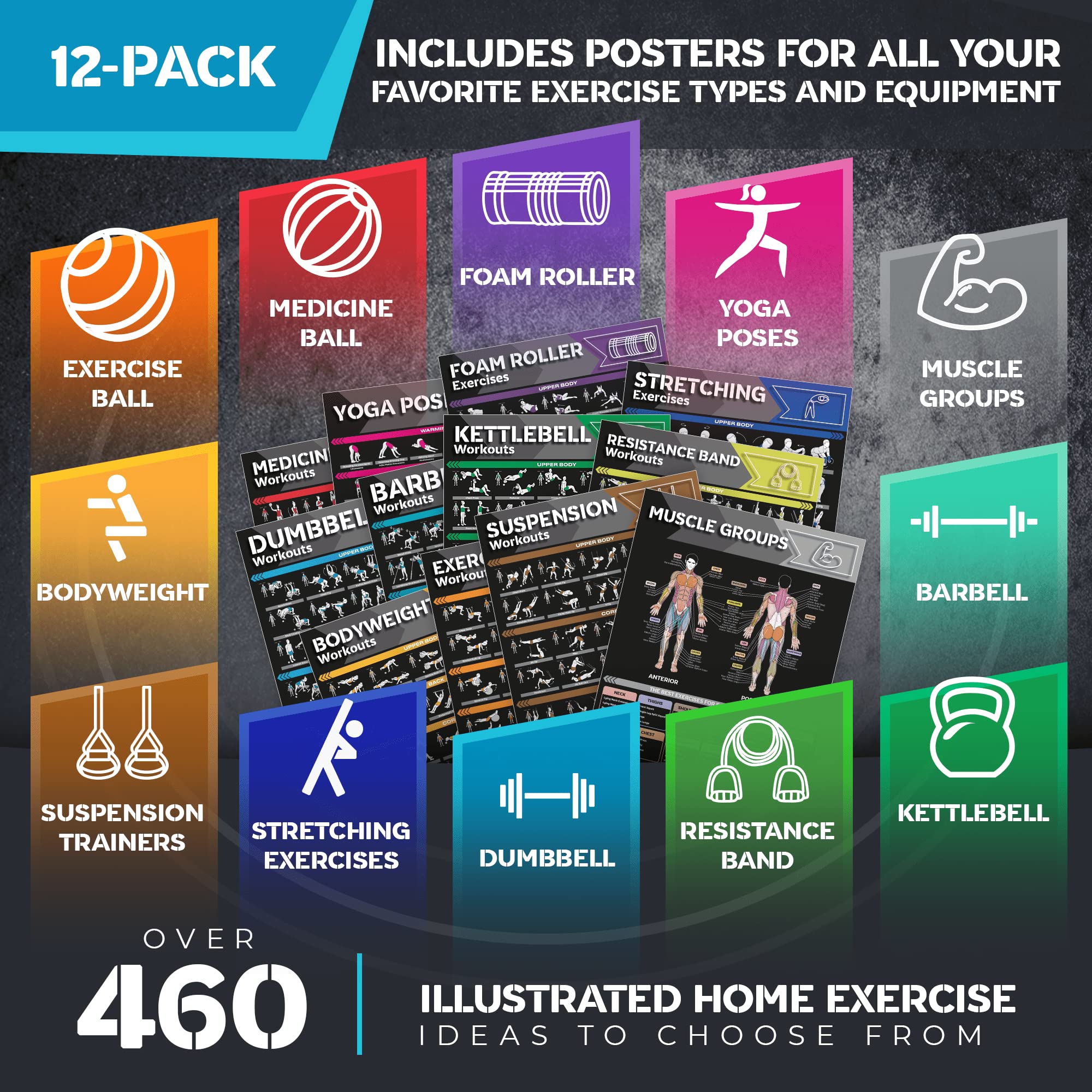 Mua [12-PACK] Laminated Large Workout Poster Set - Perfect Workout ...