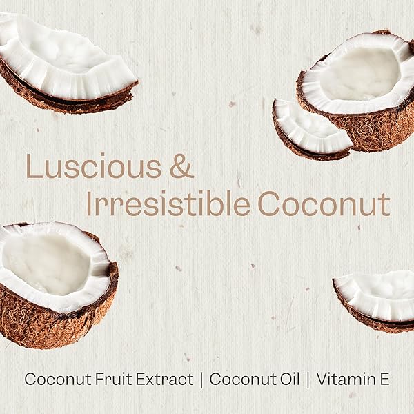 RENPURE, CONDITIONER COCONUT VITAMIN E, 24 OUNCE