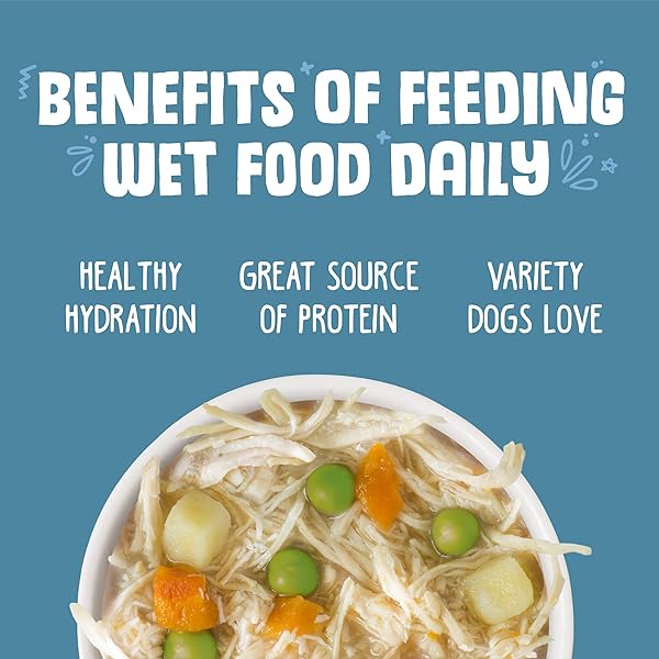 WERUVA CLASSIC DOG FOOD, GRANDMA’S CHICKEN SOUP WITH CHICKEN BREAST & VEGGIES, 14OZ CAN (PACK OF 12), TEAL (878408004568)