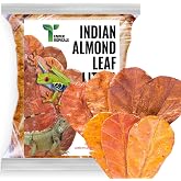 Tender Tropicals Frog Tank Accessories &ndash; 100 Pcs 3" Indian Almond Catappa Leaves, Natural Leaf Litter for Tree Frogs, Bioactive Terrarium Accessories, Amphibian Habitat Decor