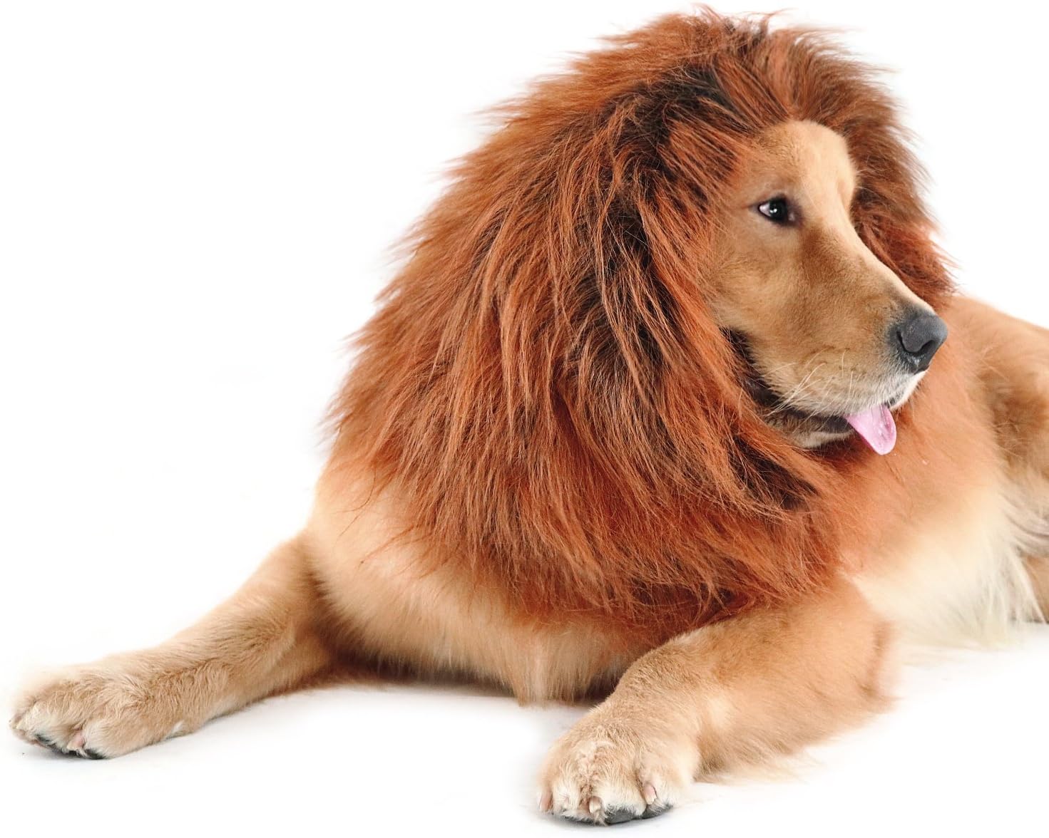 Kakasogo 1 Pcs 2017 New Red Brown Lion Mane Wig for Medium Large Dog Costume Party Club Halloween Christmas Festival Pet Decor Gift Supplies Hair Head Tool Set Adjustable Size Fit more King Dogs