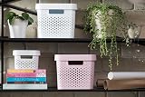 Curver Infinity Dots Rect Storage Boxes Set of 4 4.5 Litre White view 3