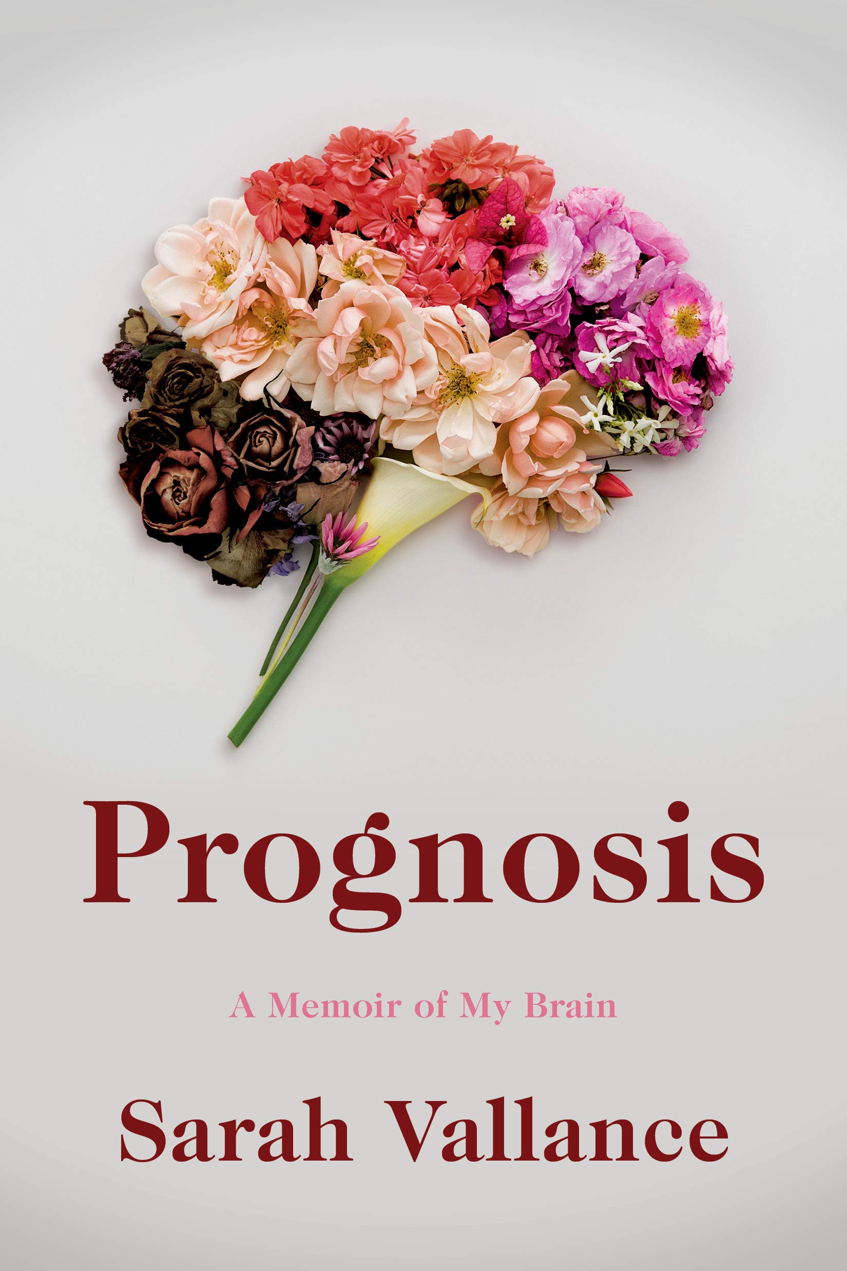 Prognosis A Memoir Of My Brain Vallance Sarah 9781542043021 Amazon Com Books