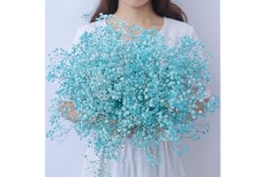beerfingo Dried-Flowers-Babys-Breath-Bouquet-17.2 inch 2500+ Flowers, Natural Gypsophila Branches for Home Decor, Wedding, Table Decor, DIY Wreath Floral, Dry Flowers Bulk for Vase (Light Blue)