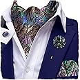 Hi-Tie Silk Ascot for Men Self Tie Men's Cravat and Flower Lapel Pin Handkerchief Cufflinks Set for Wedding Party
