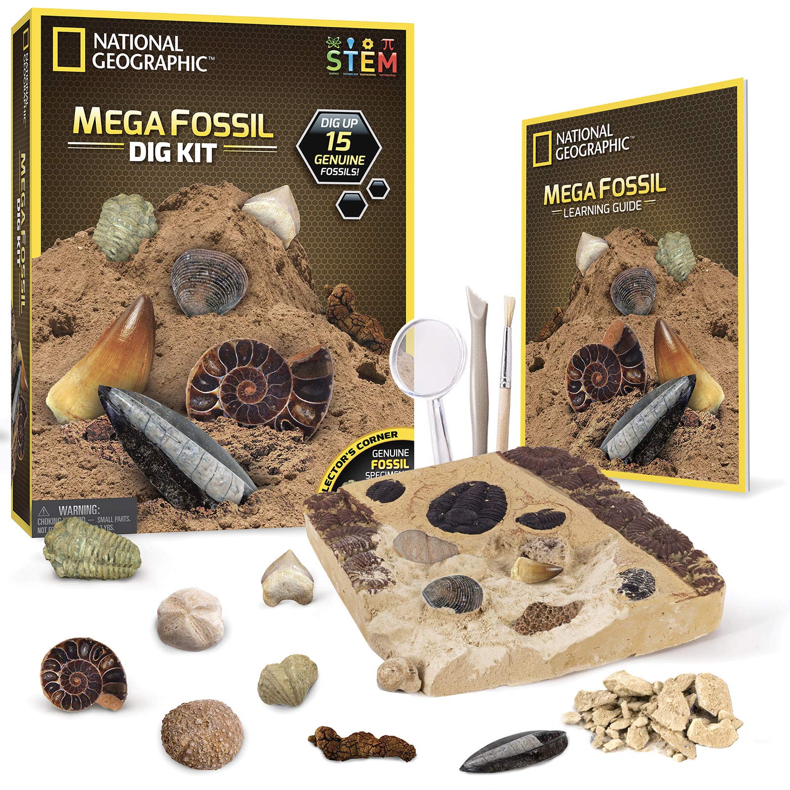NATIONAL GEOGRAPHIC Mega Fossil Dig Kit Excavate 15 Real Fossils