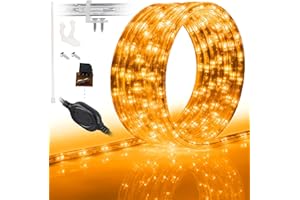 WYZworks 1116LEDs, 100ft LED Outside Rope Lights, Waterproof Permanent Outdoor ETL Certified Connectable Clear Tube, Christmas Palm Tree Holiday Decorative Landscape Patio Accent Lighting - Orange