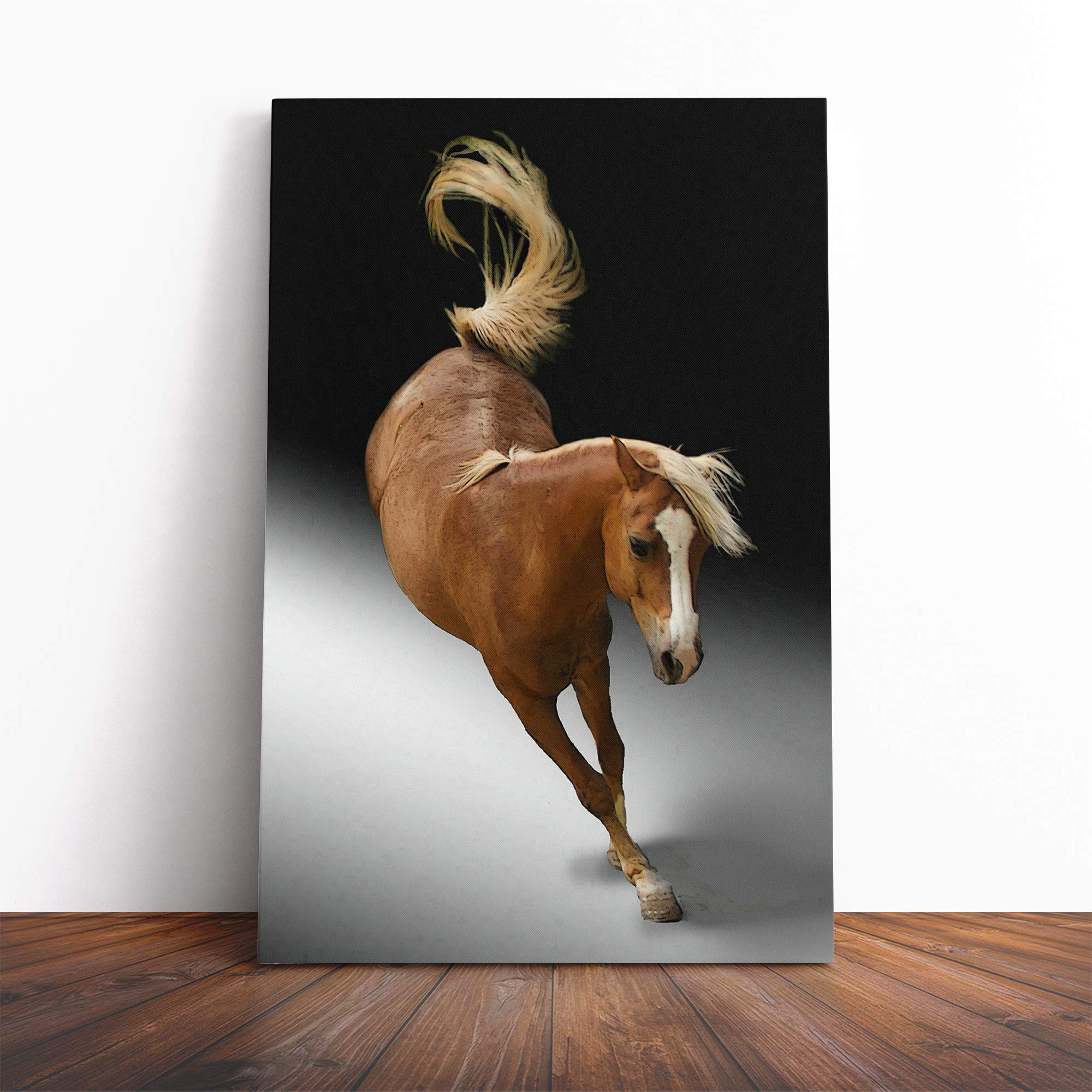 Jumping Horse Vol.3 Canvas Print | Gallery Wrapped 30mm Frame Wall Art | 20x14 inches | Ready to Hang | Modern Animals Picture | Living Room Bedroom Lounge Office