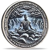 Strugglejewelry Serenity Peace Within The Storm Sobriety Chip AA Medallion with Serenity Prayer Perfect for AA Recovery and Motivation (Single Coin)