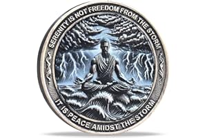 Strugglejewelry Serenity Peace Within The Storm Sobriety Chip AA Medallion with Serenity Prayer Perfect for AA Recovery and Motivation (Single Coin)