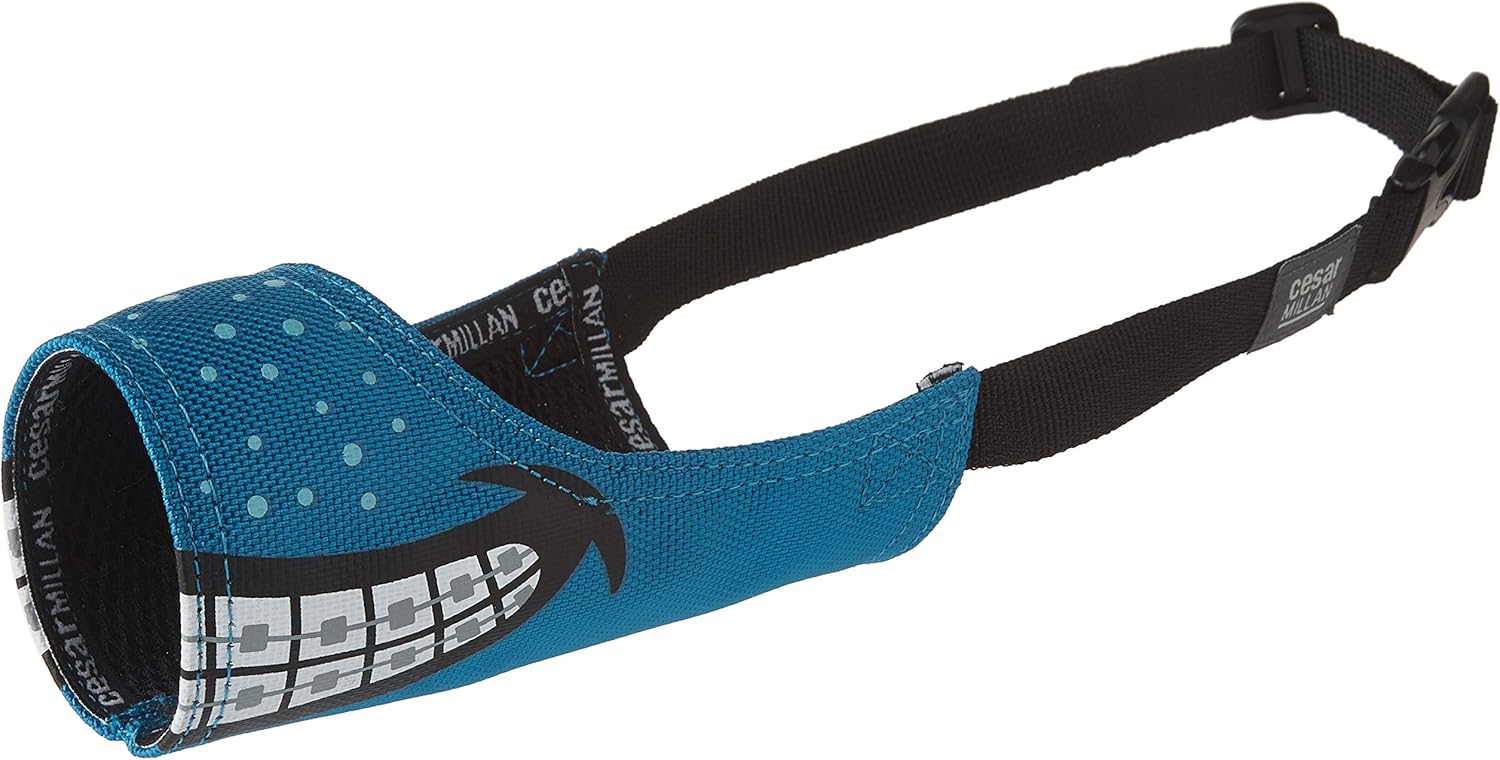 cesar millan funny muzzle