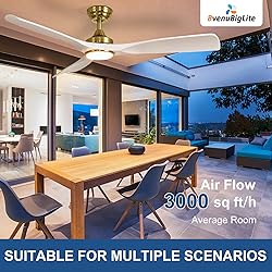 BvenuBigLite Ceiling Fan with Light Modern: 52 Inch