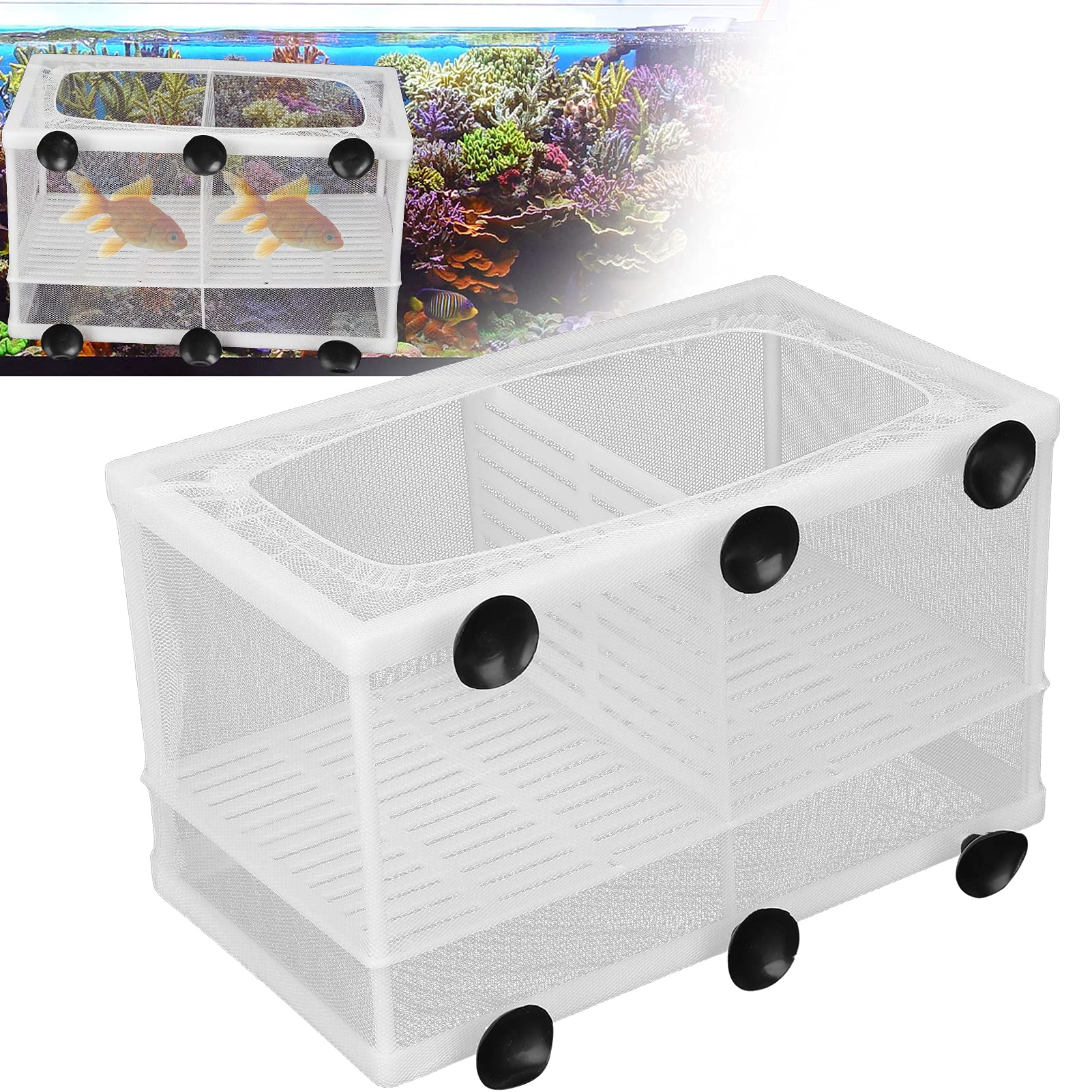 Photo 1 of Fish Breeder Box, Fish Isolation Boxes with Suction Cups Hatching Incubator Isolation Box for Small Fishes Hatchery(L with Partition)