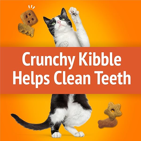 PURINA FRISKIES CAT TREATS, PARTY MIX ORIGINAL CRUNCH – 30 OZ. POUCH