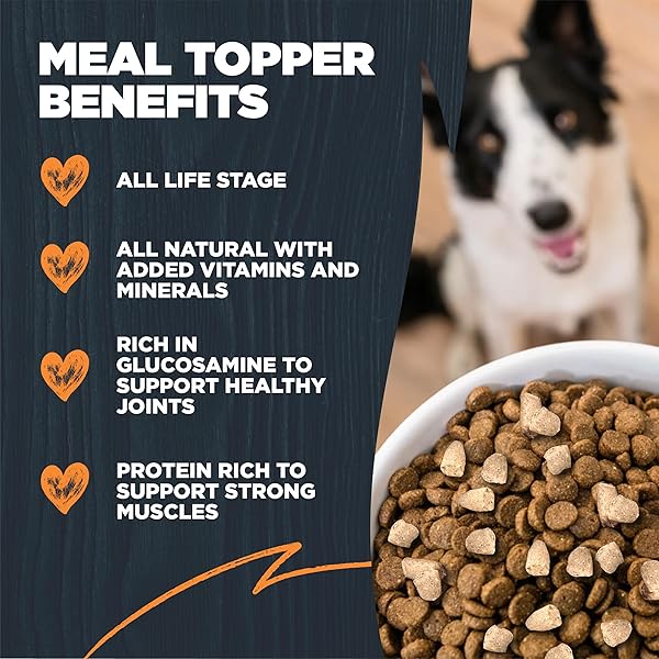 BLACKWOOD DOG FOOD TOPPER, CHICKEN RECIPE, 8 OUNCE, HIGH PROTEIN WITH GLUCOSAMINE, USE AS TRAINING TREAT, MEAL, OR TOPPER