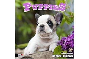 RED EMBER Puppies 2026 Wall Calendar 12 Month | 12" x 24" Open | Thick & Sturdy Paper | Holiday Gift | Cute Puppy Dog Calendar 2026