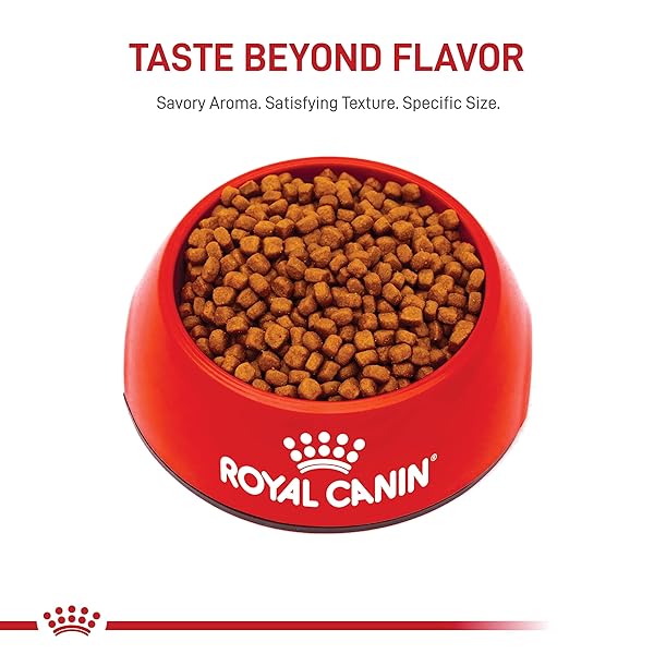 ROYAL CANIN PERSIAN BREED DRY KITTEN FOOD, 3 LB BAG