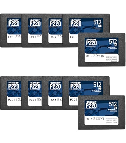 Amazon.com: Patriot Memory P210 SATA 3 512GB SSD 2.5 Inch Internal