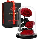 LOVAPPY Eternal Flower in a Glass Dome: Preserved Rose - The Perfect Forever Infinity Rose Gift for Her on Valentine's Day, Mother's Day, Birthday, Anniversary, Wedding, and Christmas (9 inch)