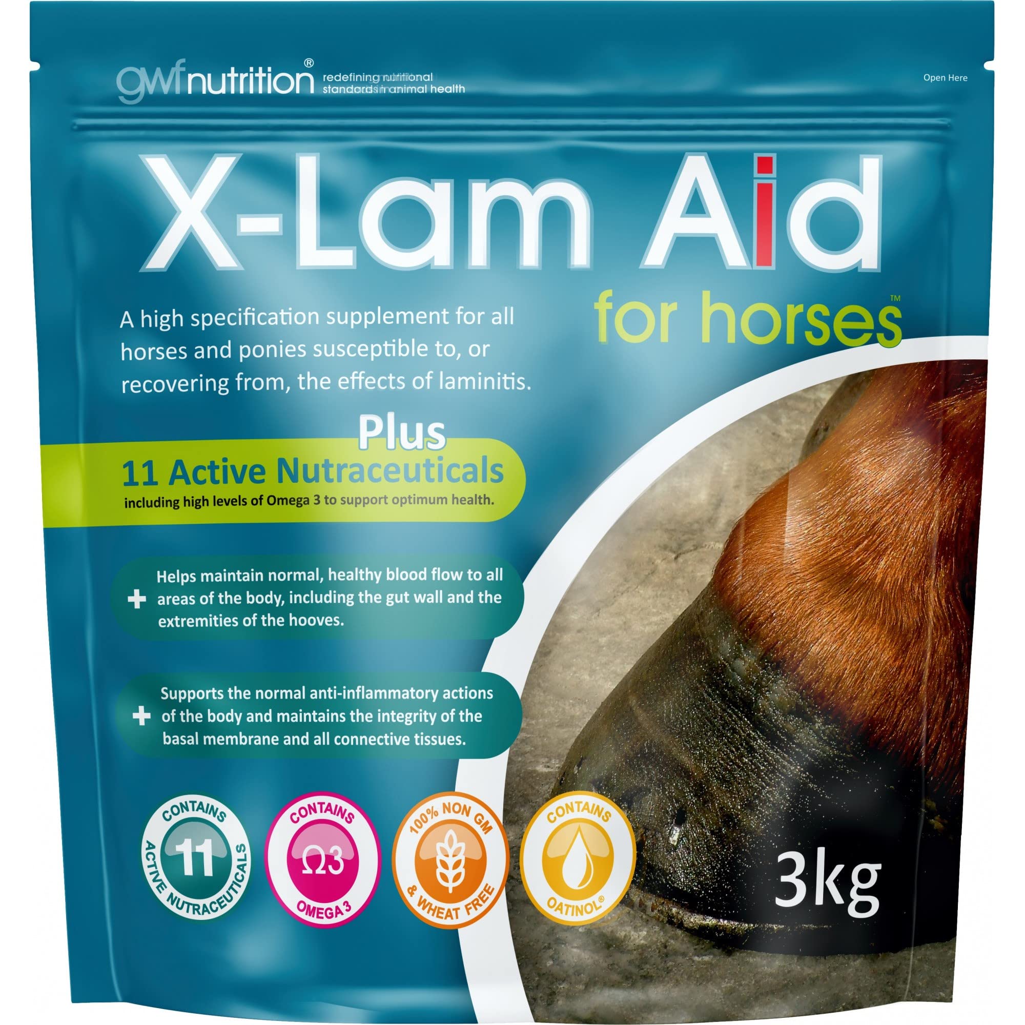 GWF Nutrition X-lam Aid For Horses Pouch 3 kg