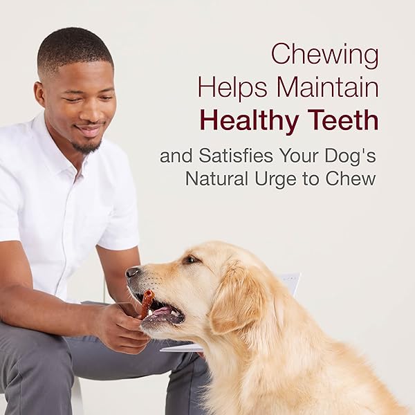 SMARTBONES MEDIUM BONES WITH REAL PEANUT BUTTER RAWHIDE-FREE CHEWS FOR DOGS, 4 COUNT