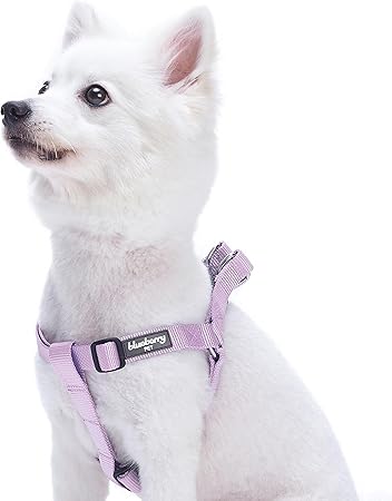 step in dog harness for small dog