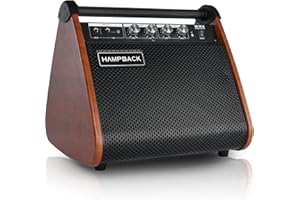 HAMPBACK 50W Bluetooth Studio Speaker - Pro Audio with Adjustable Reverb & Deep Bass for E-Drums/E-Guitar/E-Piano/Home Stage