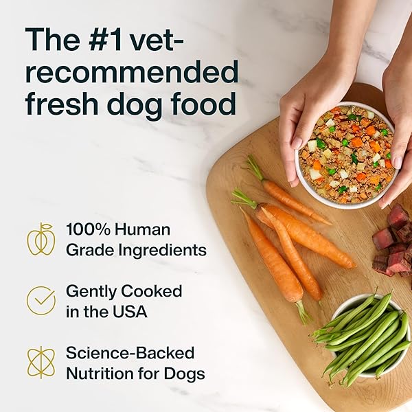 JUSTFOODFORDOGS PANTRY FRESH DOG FOOD VARIETY PACK, COMPLETE MEAL OR TOPPER, BEEF, CHICKEN, TURKEY, & LAMB HUMAN GRADE RECIPE – 12.5 OZ (PACK OF 8)