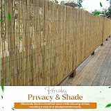 FlickBuyz Bamboo Natural Garden Peeled Reed Fence 1M x 4M view 6