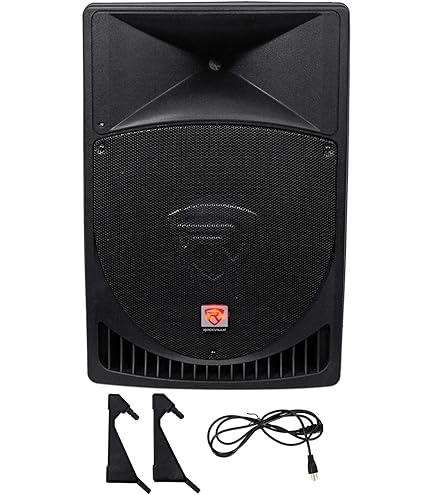 roje  Amazon.com: Rockville RPG15 Power Gig Pair 15-in Powered Active DJ