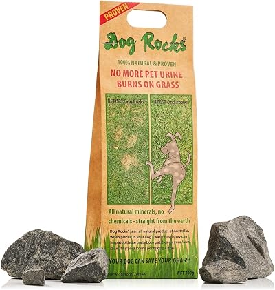 Dog Rocks Urine Patch Preventer 200g Natural Pet Water Filter Grass Repair