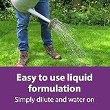 Flower Power Lawn Magic 5L - Double Action Grass Feed for Strong Roots view 7