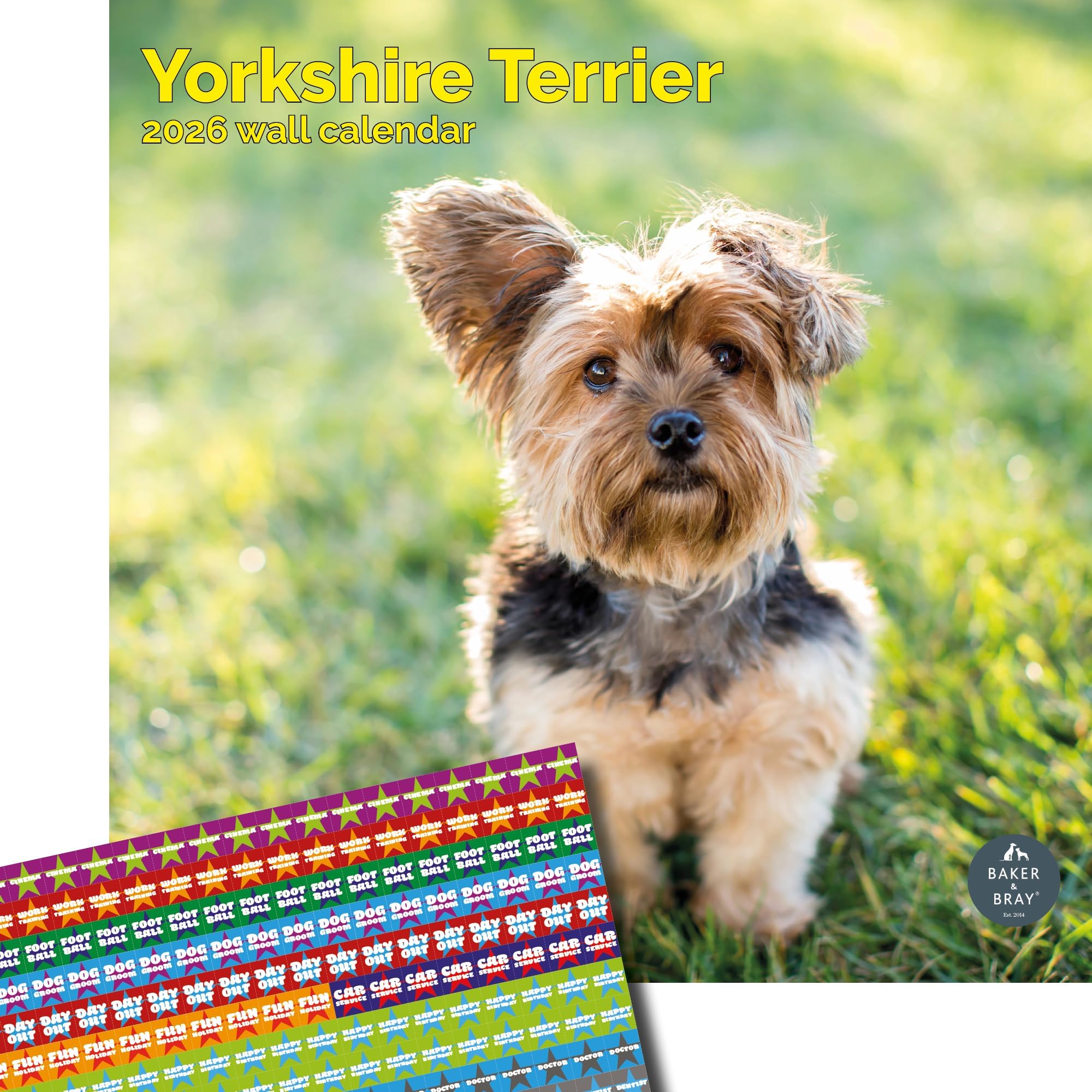 Baker and Bray Yorkshire Terrier Calendar 2026, Large Square Wall Calendar With Organisational Stickers, 16 Month, Yorkshire Terrier Gift Dog Calendar