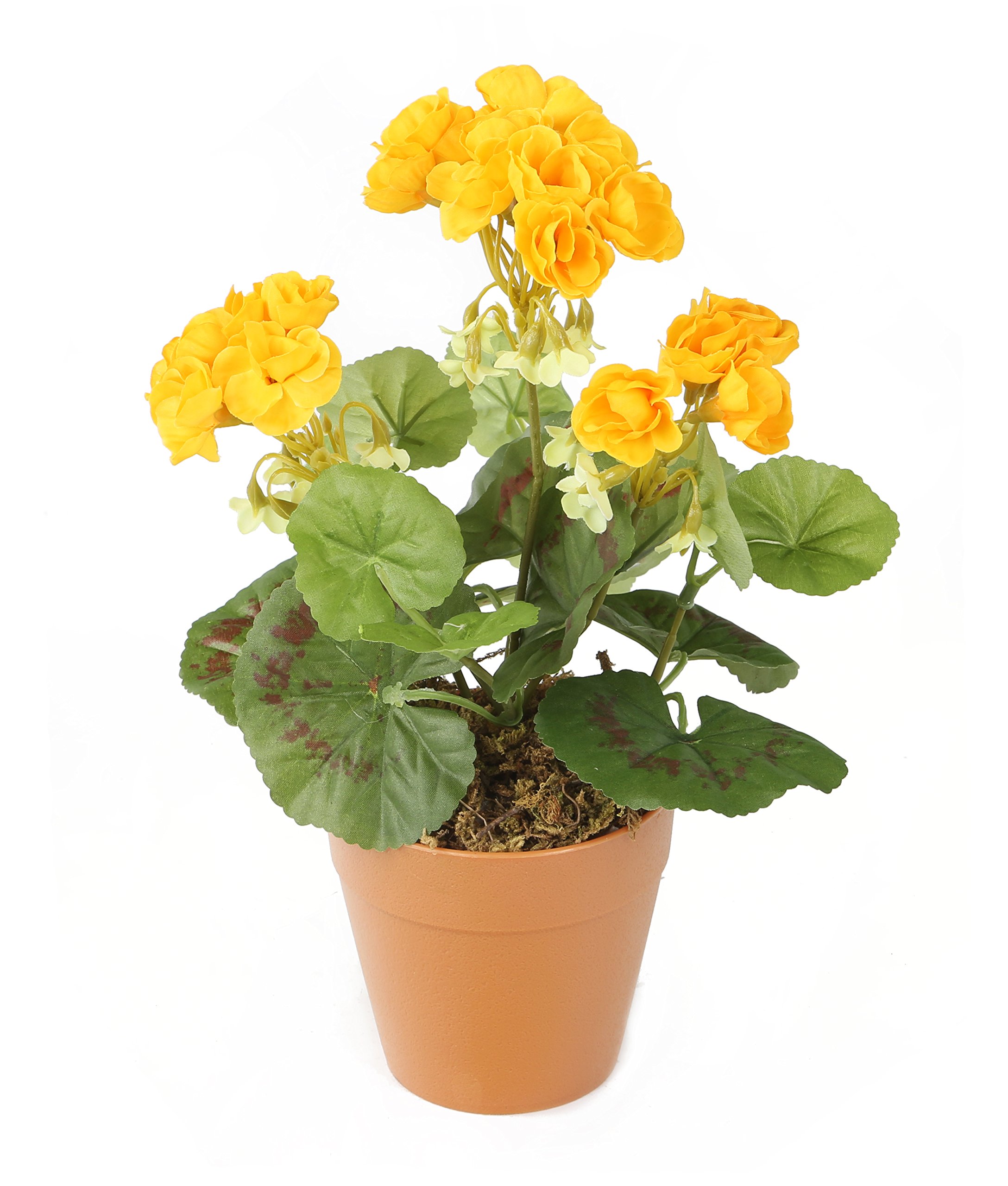 Closer2Nature - Yellow Geranium Artificial Plant; 24cm Fake Geranium Plug Plant; Artificial Flowers Perfect as Indoor Plant or Outdoor Plants - Pot Not Included