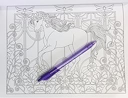 Amazon.com: Creative Haven Unicorns Coloring Book (Adult Coloring ...