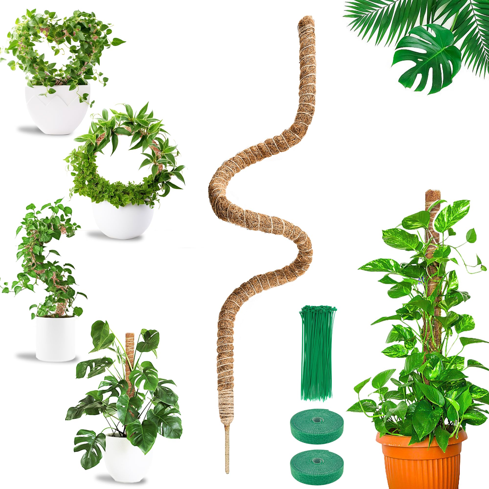 COZCLAM Moss Pole, 1Pcs 63'' Monstera Support, Bendable Cheese Plant Supports, Plant Stakes, Coco Coir Pole for Indoor Climbing Plants, Plant Sticks Support for Creeper Plants Grow Upwards