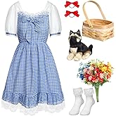 Langyiwee 11 Pcs Halloween Cosplay Costume for Women Book Character Blue Gingham Dress with Accessories for Halloween