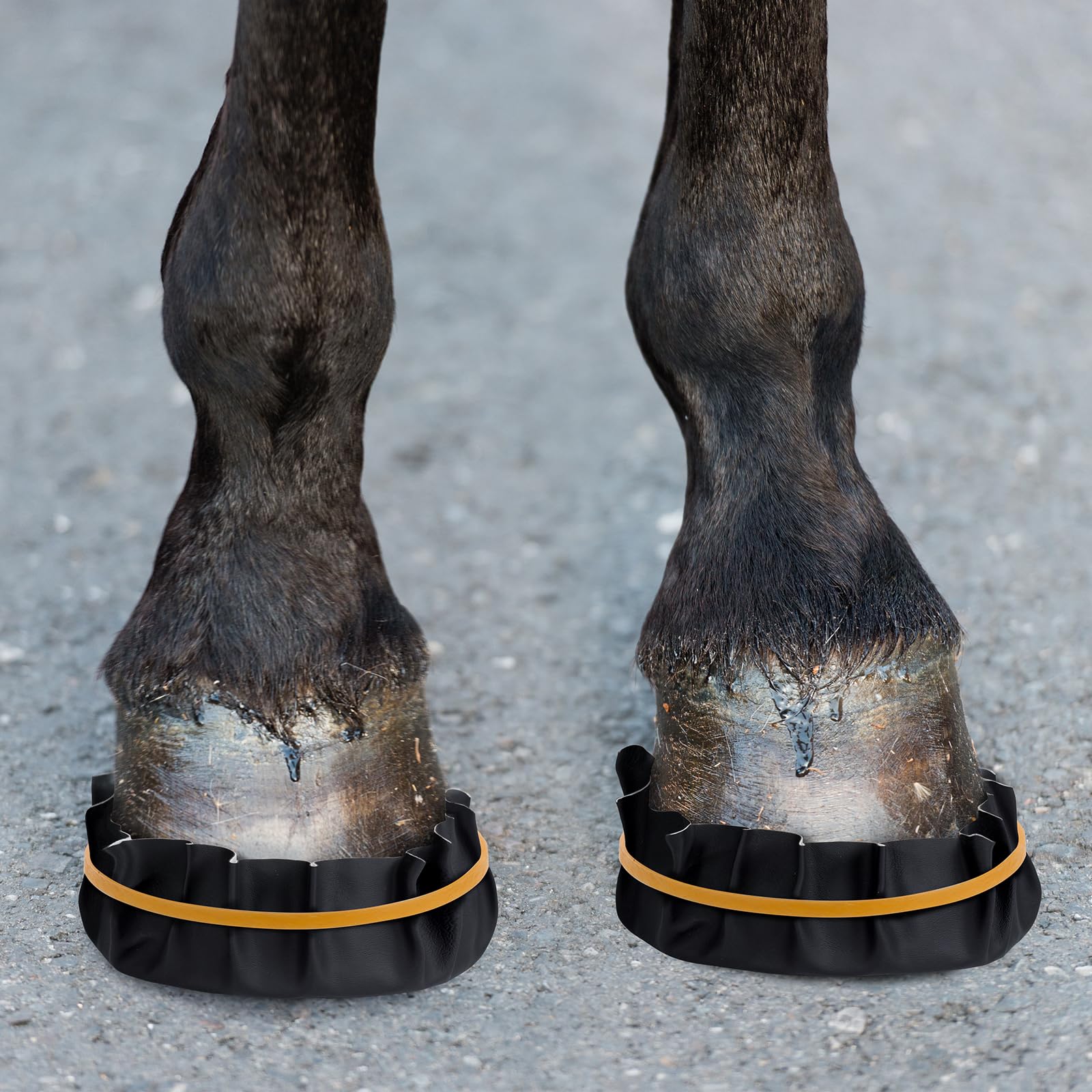 Photo 1 of diytoolsman 12 Pack Horse Hoof Tape, Strong Sticky Hoof Wrap for Abscess & Laminitis Treatment for Horses, Convenient and Protective Solution