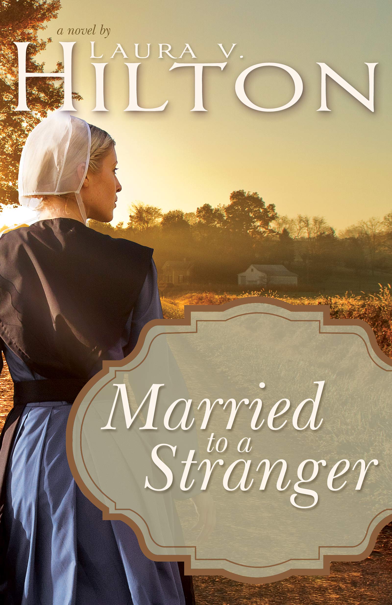 Married To A Stranger Hilton Laura V 9781641232494 Amazon Com Books