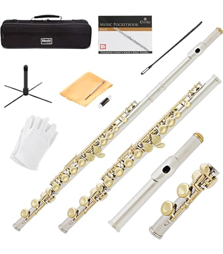 Amazon.com: Gemeinhardt 2SP Flute with Straight Headjoint