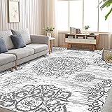 HEBE Washable Area Rug 8'x10' Non Slip Soft Distressed Medallion Bedroom Rug Boho Living Room Rug Accent Throw Rugs Vintage E