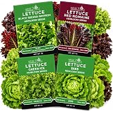 NatureZ Edge Lettuce Seeds for Planting, 4 Popular Varieties Non-GMO Heirloom Seeds, Red Romaine, Bibb Butter, Black Seeded Simpson, Green Ice Lettuce, Romaine, Salad Lettuce, Hydroponic Garden, USA
