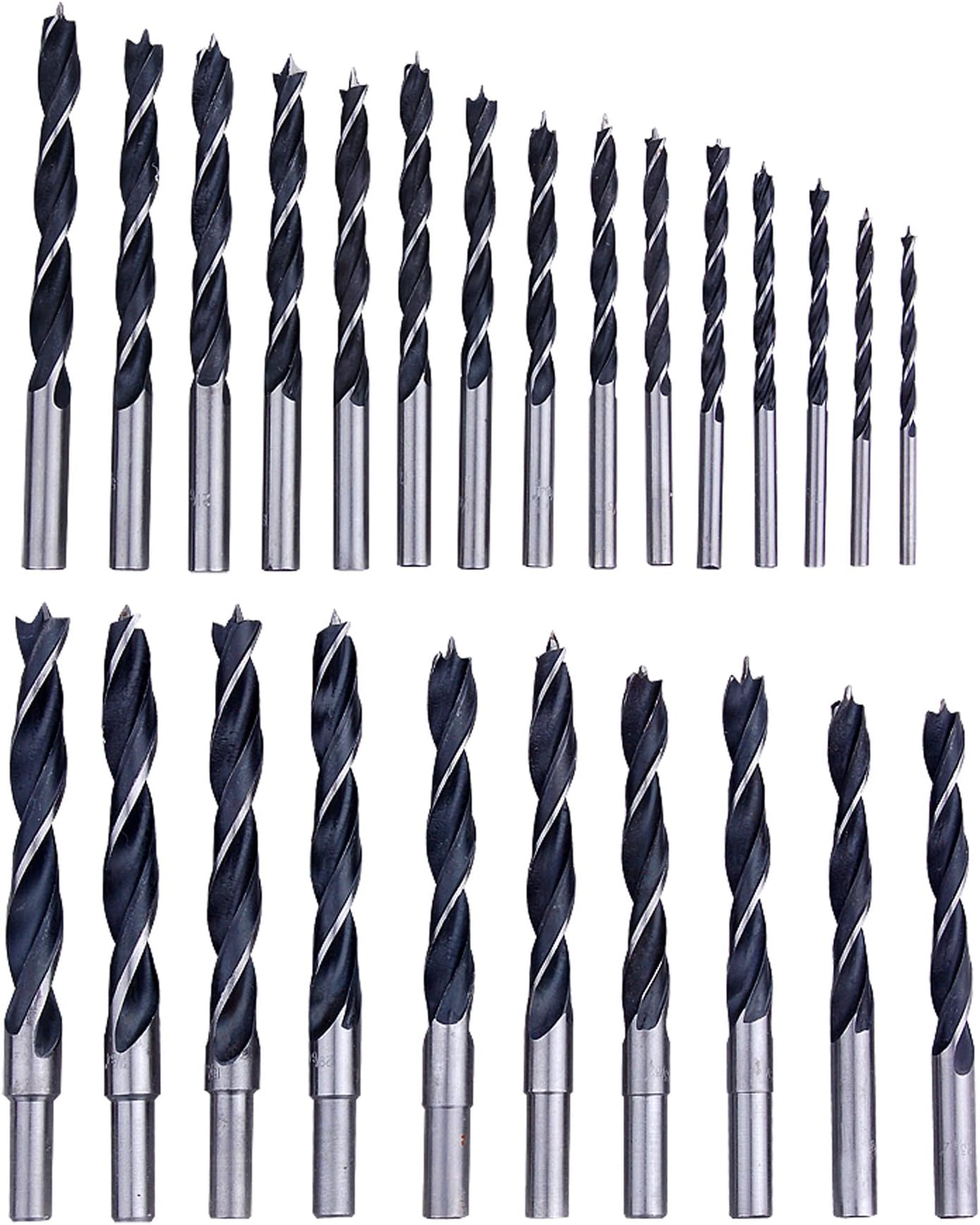 Professional Woodworker 46628 Brad Point Drill Bit Set, 25 Piece